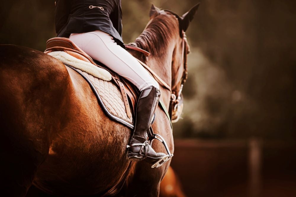 Horse Riding in Dubai