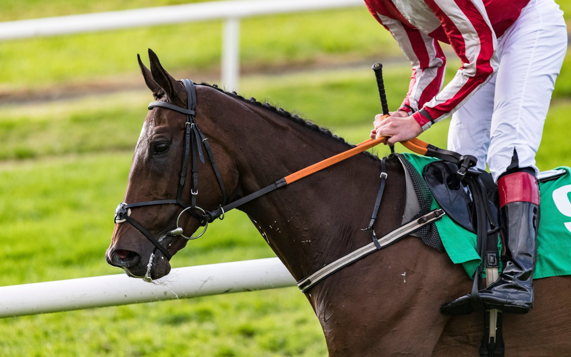 world's premier jockey and racing organizations