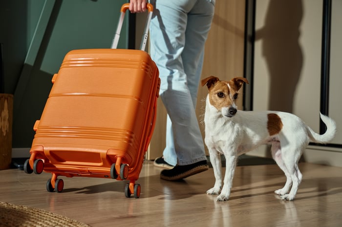 Pet-Friendly Hotels in Dubai