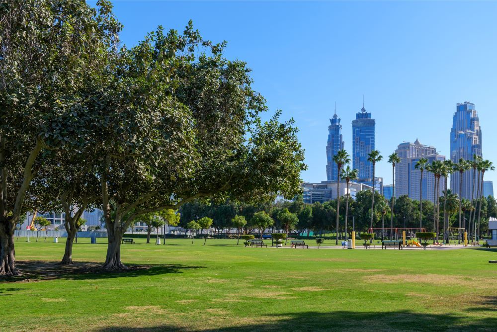 Dubai’s New Central Park: A Green Landmark for the City’s Next Chapter
