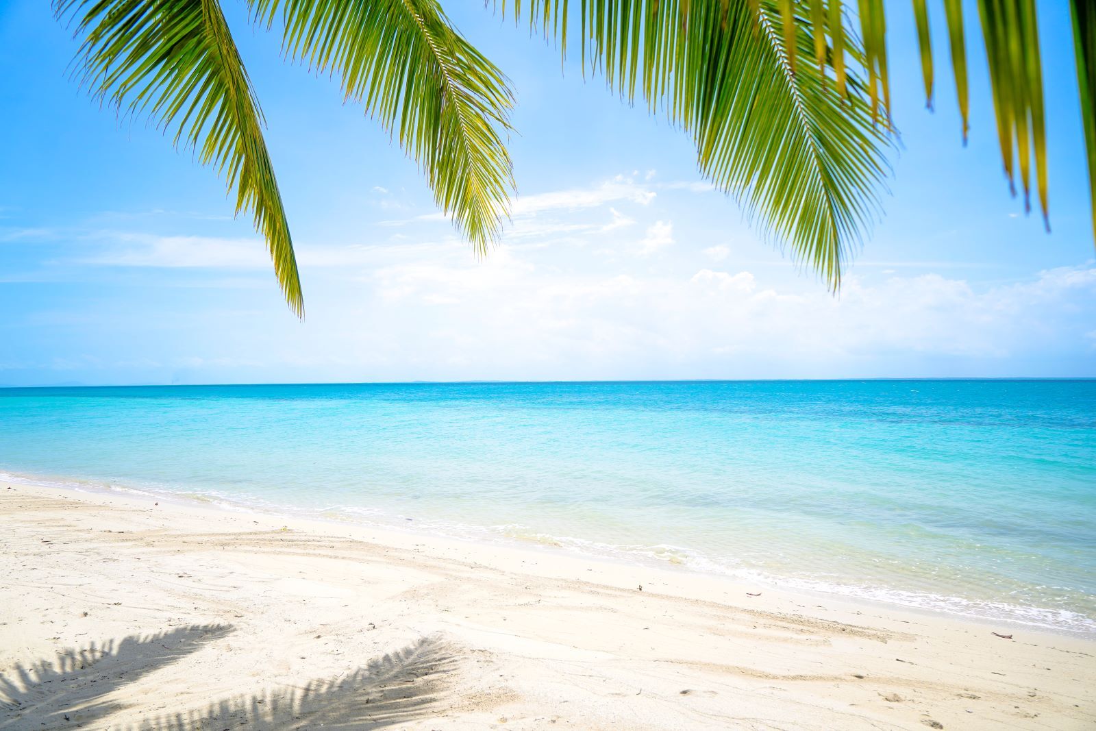 Dubai’s Private Beaches: Shores of Stillness and Luxury