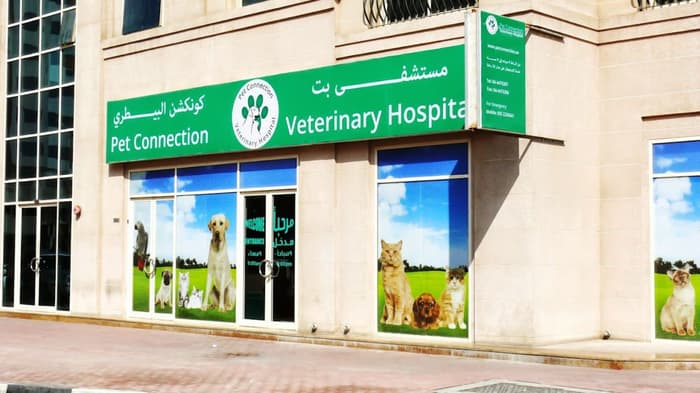 Pet Connection Veterinary Clinic.jpg Veterinary Hospital Dubai