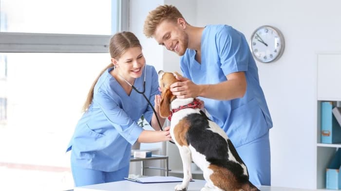 Veterinary Hospital Dubai.jpg Veterinary Hospital Dubai