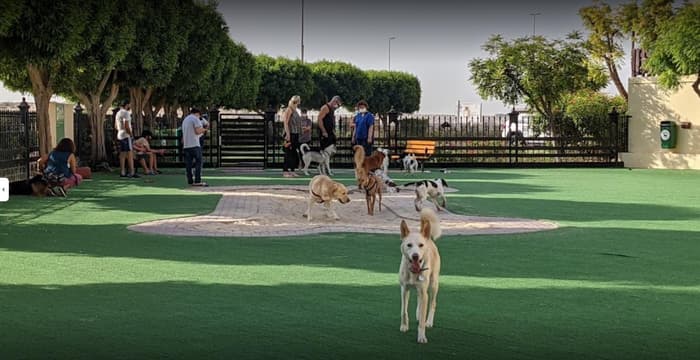 The Greens Dog Park.jpg Best Dog Parks in Dubai