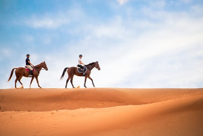 horse riding in the desert or beach.jpg fun activities in dubai for adults