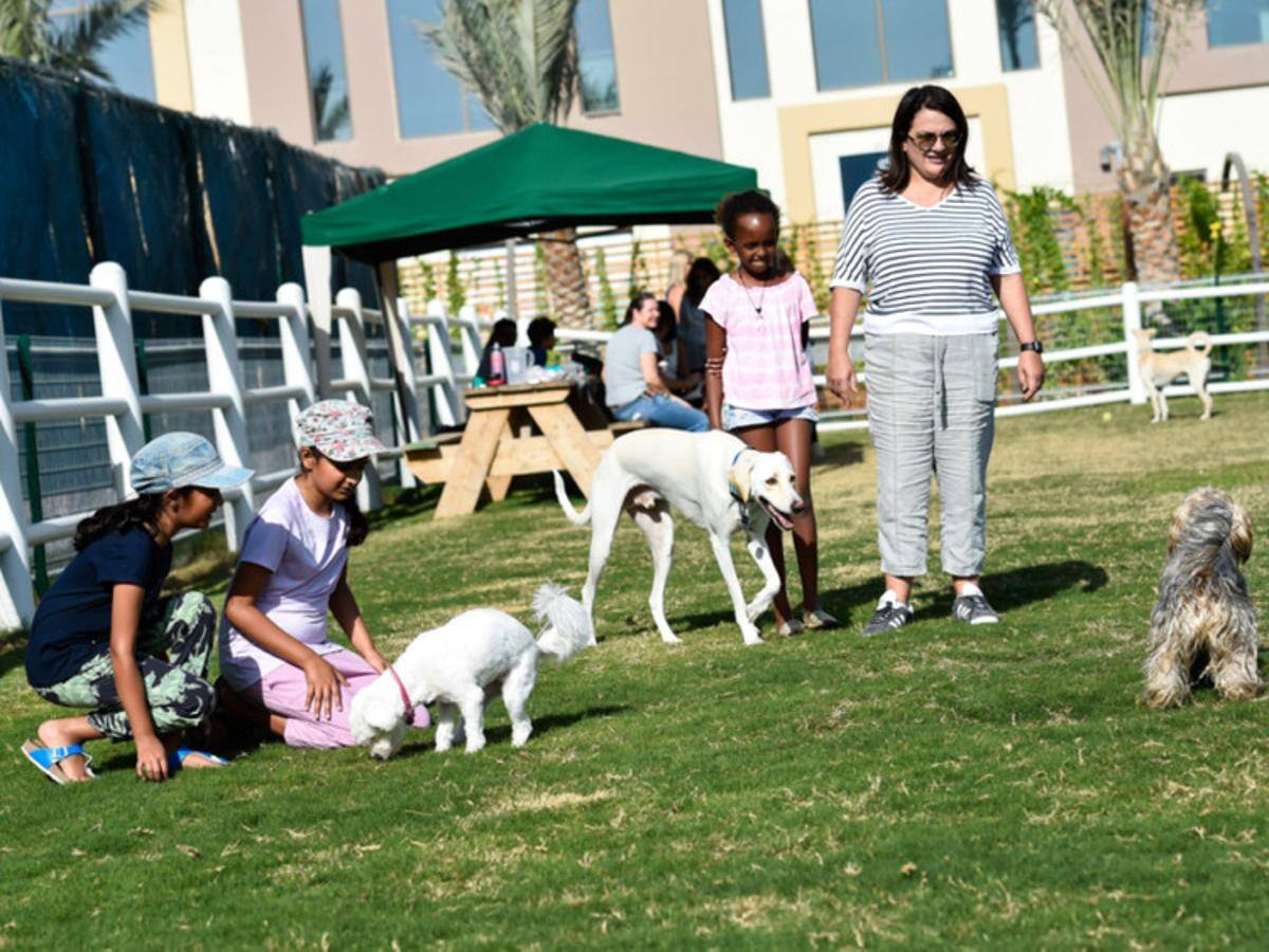 Sustainable City Dubai Dog Park.jpg Best Dog Parks in Dubai