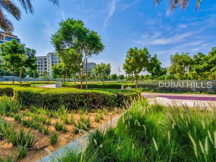 Dubai Hills Park.jpg Best Dog Parks in Dubai