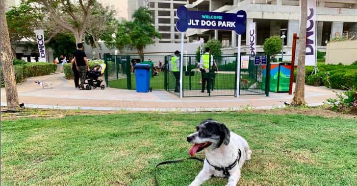 JLT  Dog Park.jpg Best Dog Parks in Dubai