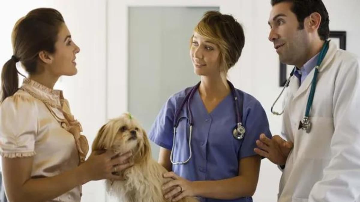 American Veterinary Clinic.jpg Veterinary Hospital Dubai