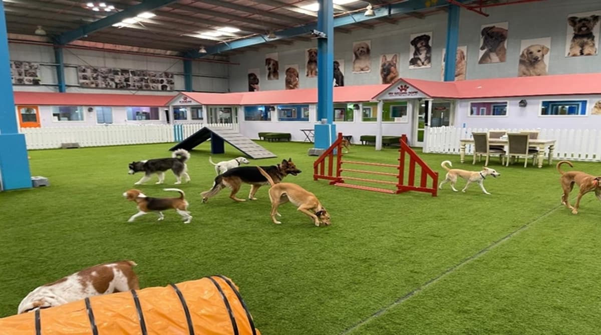 My Second Home Dubai.jpg Best Dog Parks in Dubai