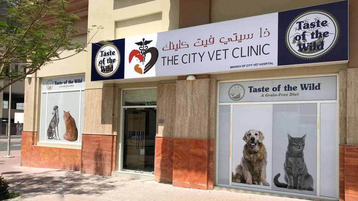 City Vet Clinic.jpg Veterinary Hospital Dubai