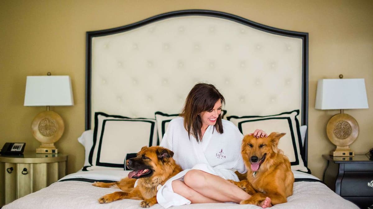 Best Pet-Friendly Hotels in Dubai for a ‘Paw-fect’ Experience