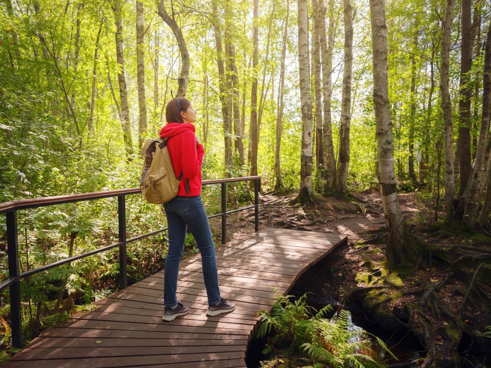 Regenerative Tourism: The New Language of Conscious Journeys