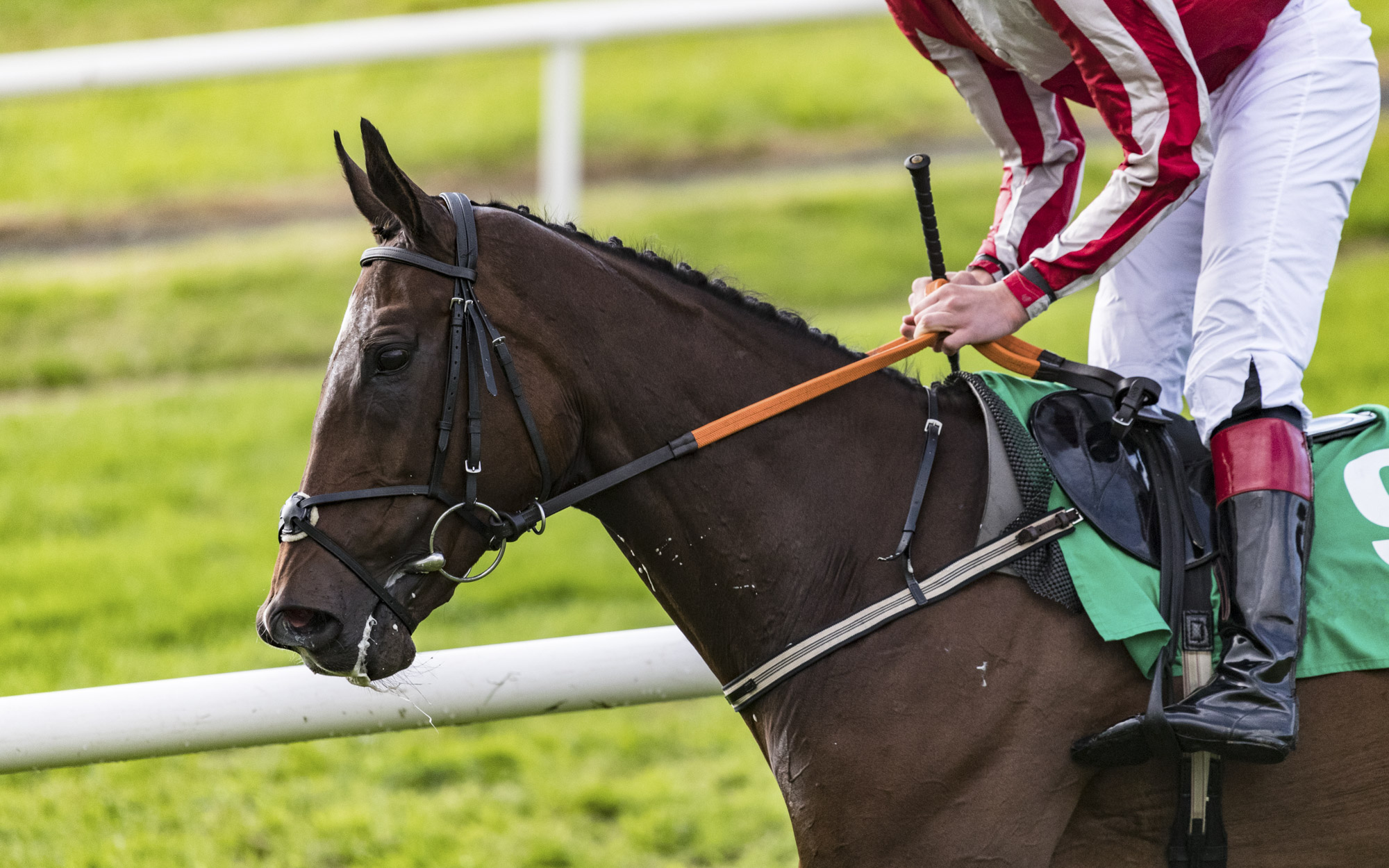 World's Premier Jockey and Racing Organisations: Inside the Global Thoroughbred Network