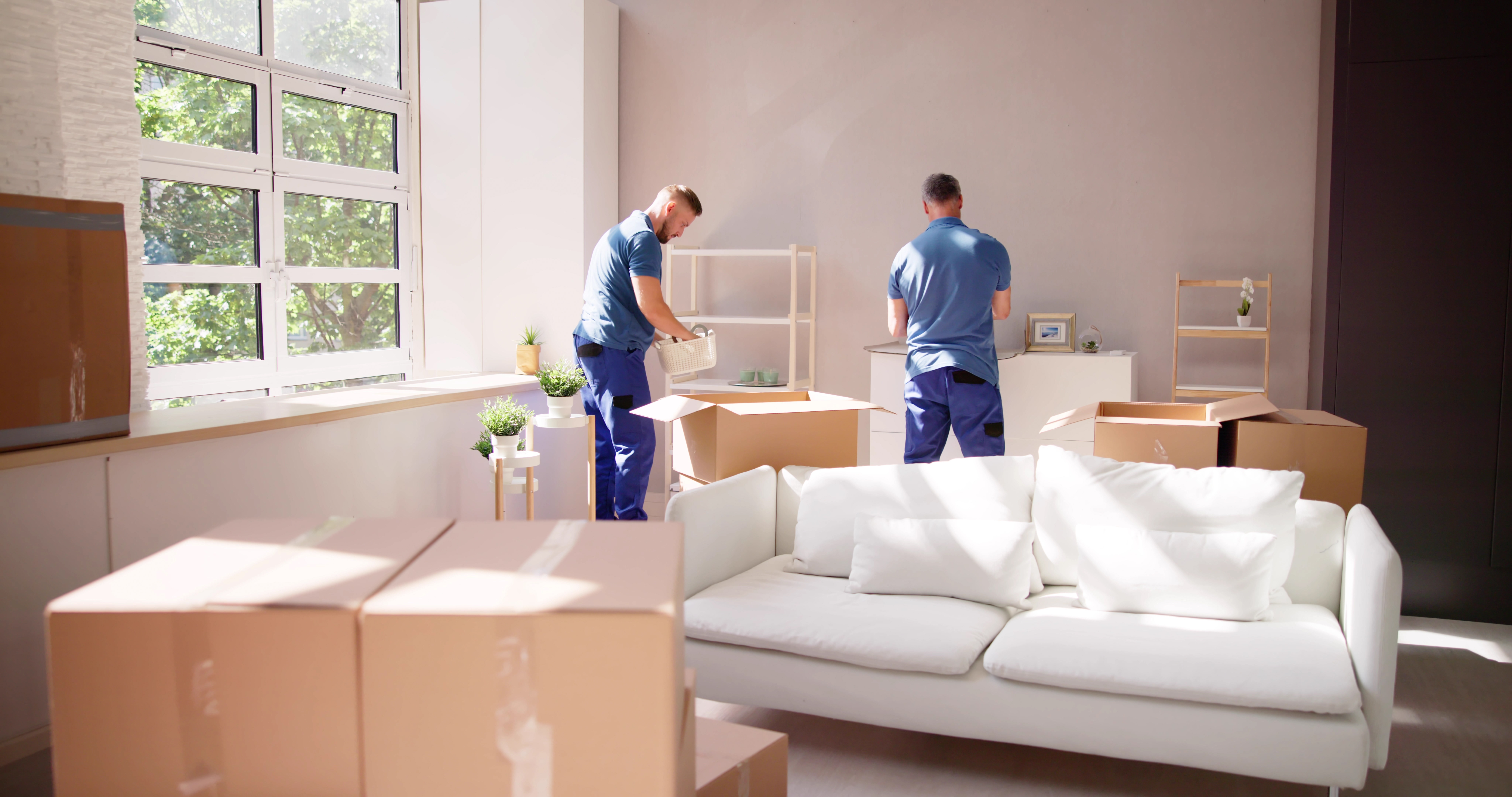 The Best Packers and Movers in Palm Jumeirah