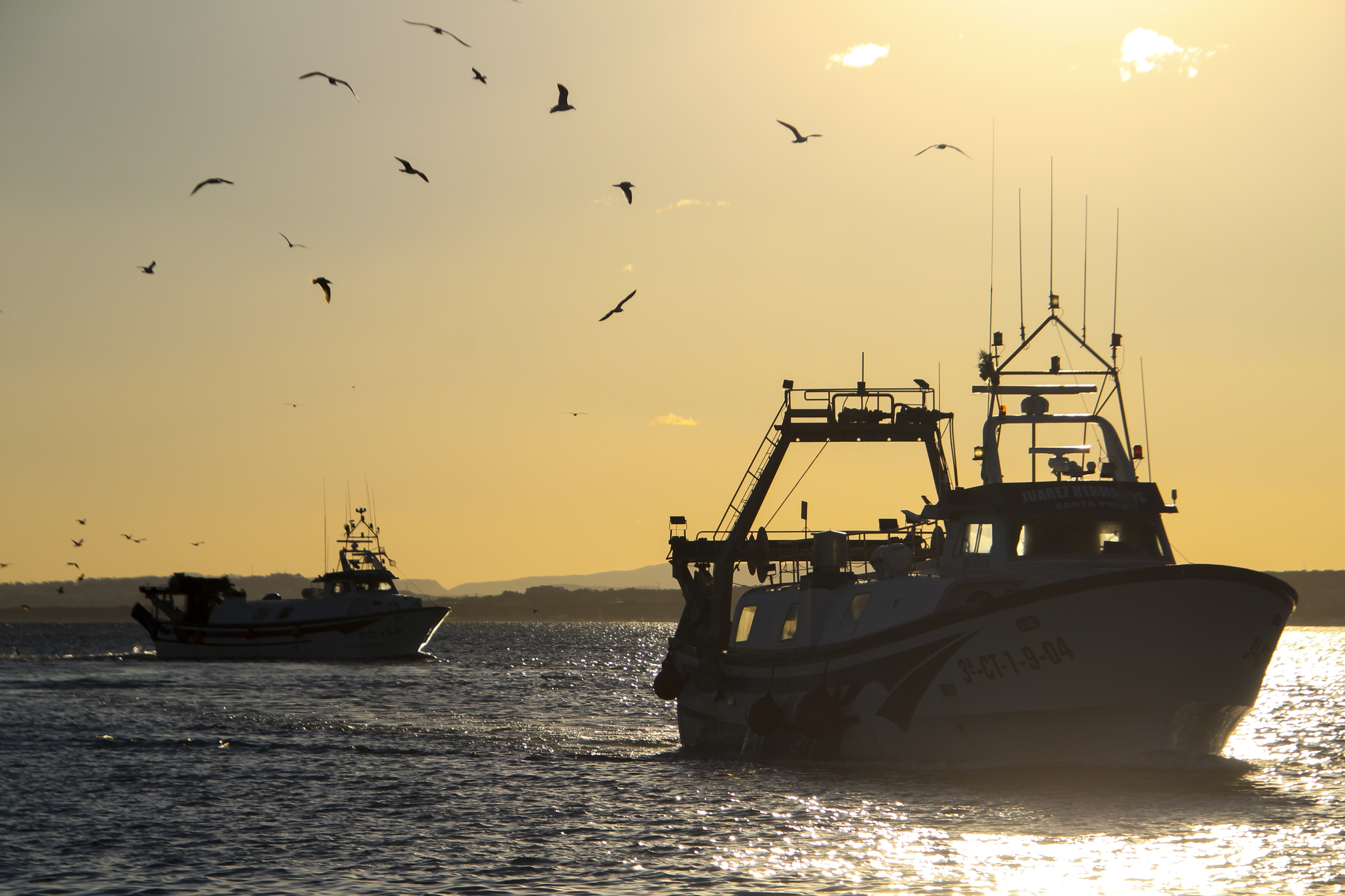 Fishing License in Dubai – A Complete Guide