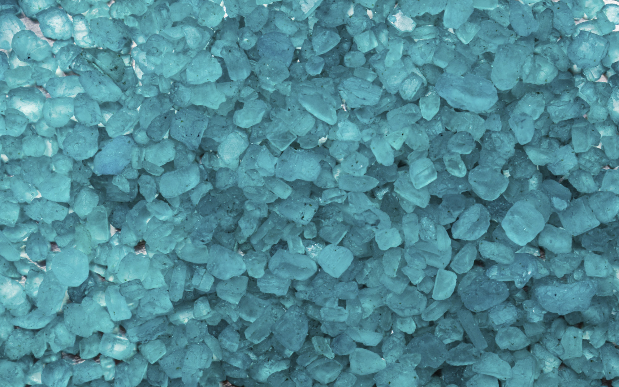 Turquoise Home Design: A Colour That Never Left the Room